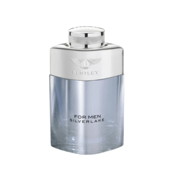 Bently Silverlake M EDP 100ml – Authentic Bentley Eau de Parfum 100ml for Men | Wholesale Bulk Supply India | Genuine Designer Fragrance